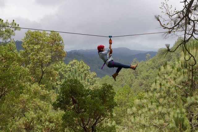 Green Forest Tours